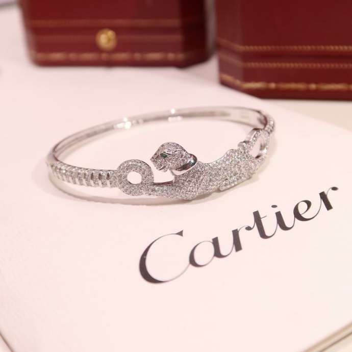 Picture of Cartier Bracelet _SKUCartierbracelet06cly241199